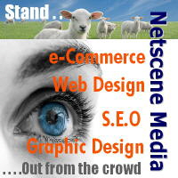 Netscene Media